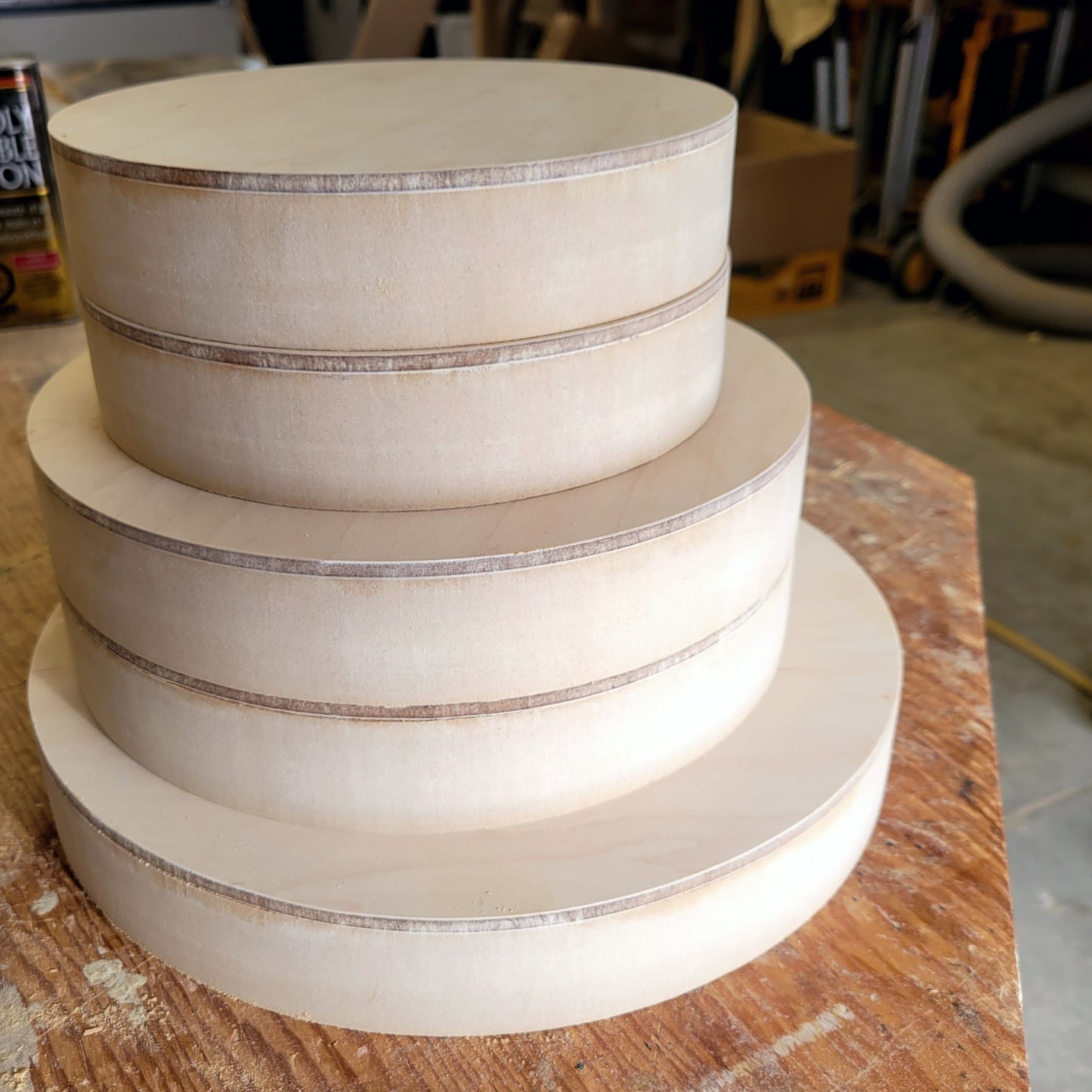 Cradled Maple Tondos